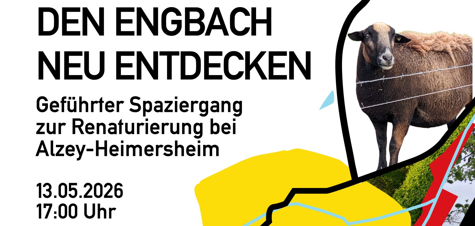 ein Poster für "den Engbach neu entdecken", darauf ein Schaf oben rechts in der Ecke abgedruckt