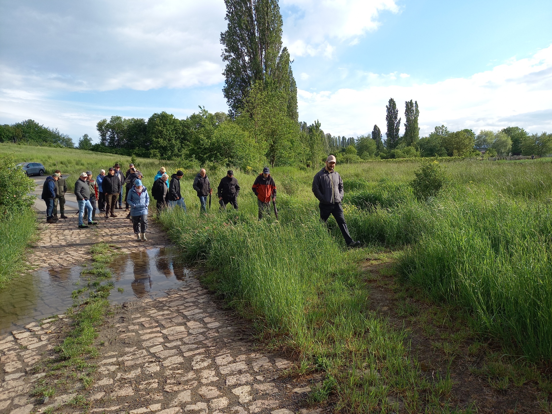 eine Gruppe von menschen wandert über einen Feldweg