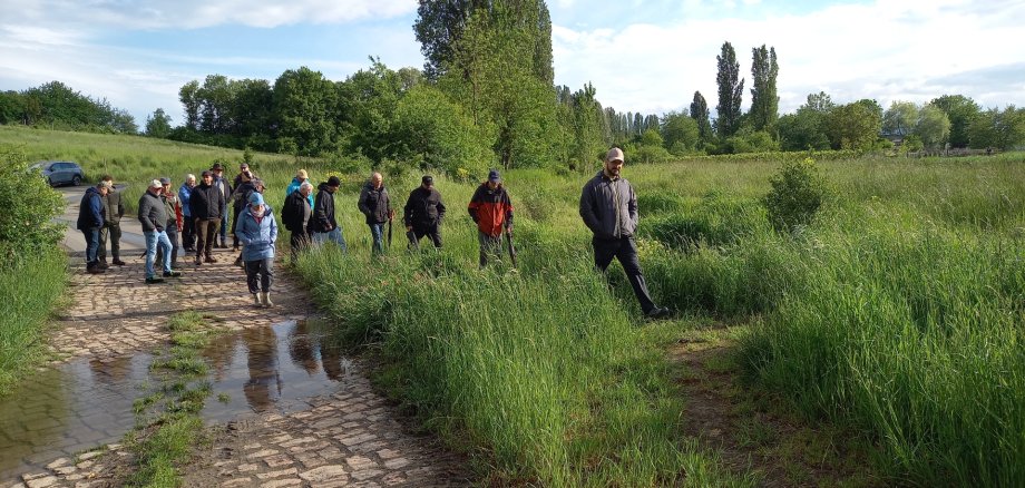 eine Gruppe von menschen wandert über einen Feldweg
