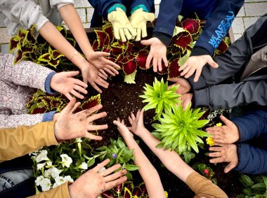 Kinder strecken ihre Hände über einem bepflanzten Blumenbeet alls in die Mitte
